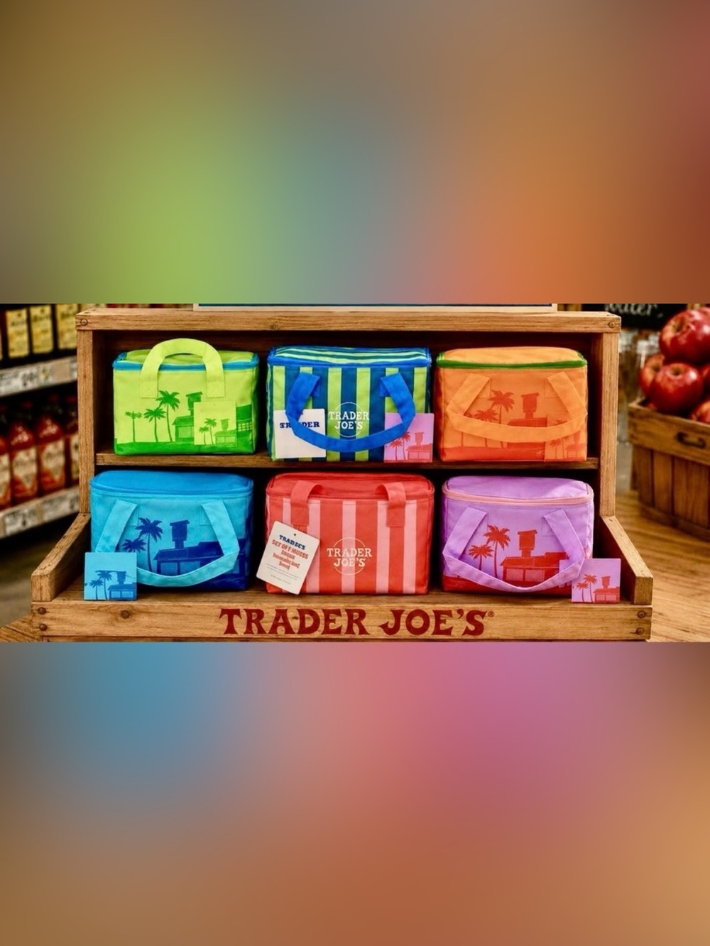 Trader Joe's Kids Colorful Insulated Lunch Bag - Light Purple